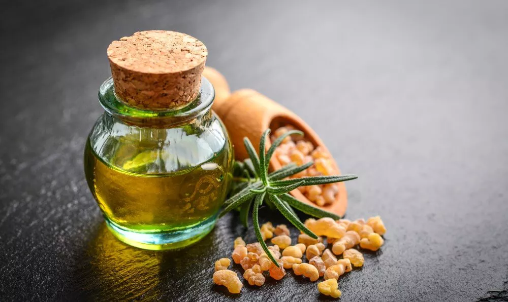 Akgünlük (Boswellia) nedir